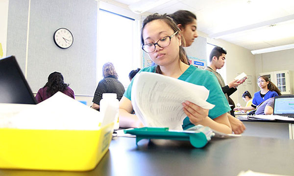 Student looking at papers