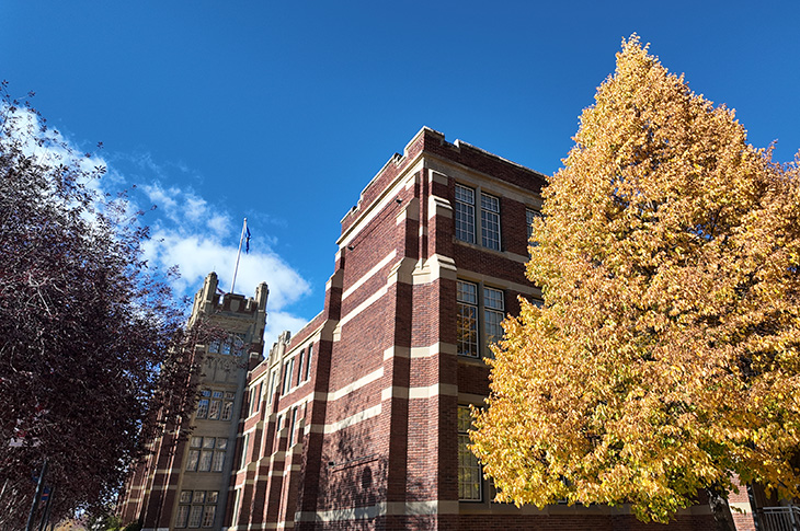 A tree with yellow leaves stands next to a brick building under a blue sky.